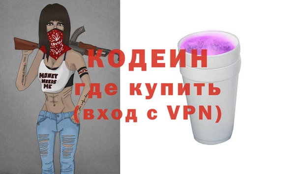 хмурый Алзамай