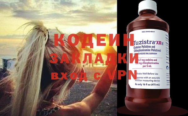 хмурый Алзамай
