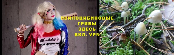 спиды Алексеевка