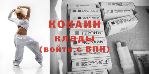 хмурый Алзамай